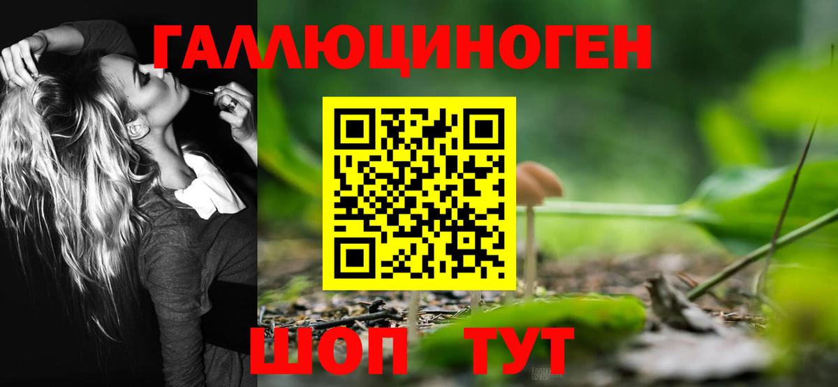 Галлюциногенные грибы Cubensis Сорочинск