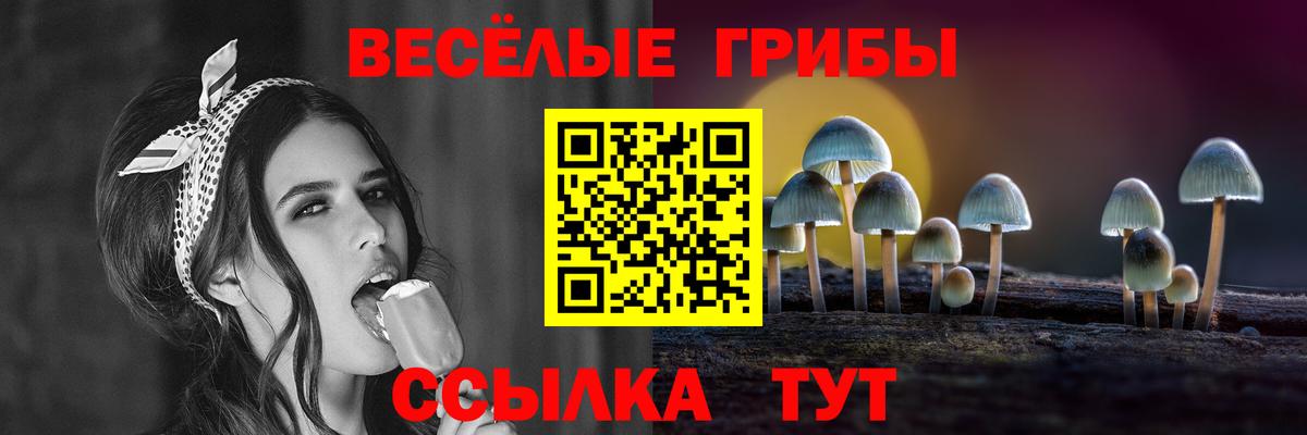 Сорочинск  где купить наркотик  Вход с VPN  Галлюциногенные грибы прущие грибы 